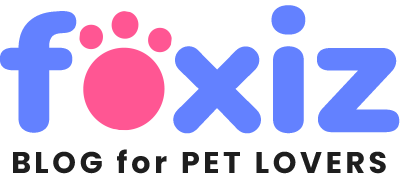 Pet Lovers