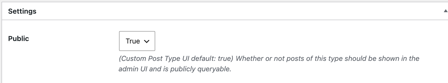 The top of CPT UI's Settings panel, with Public set to True