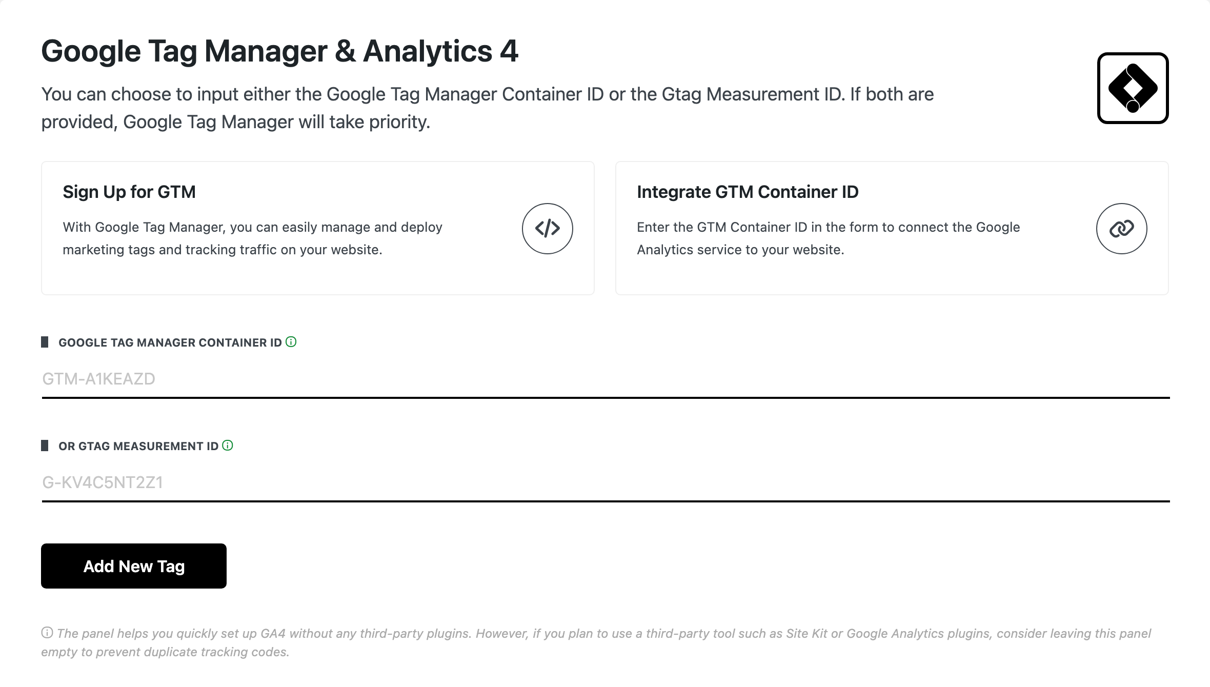 The Google Tag Manager & Analytics 4 panel, with the Google Tag Manager Container ID and or Gtag Measurement ID fields above Add New Tag