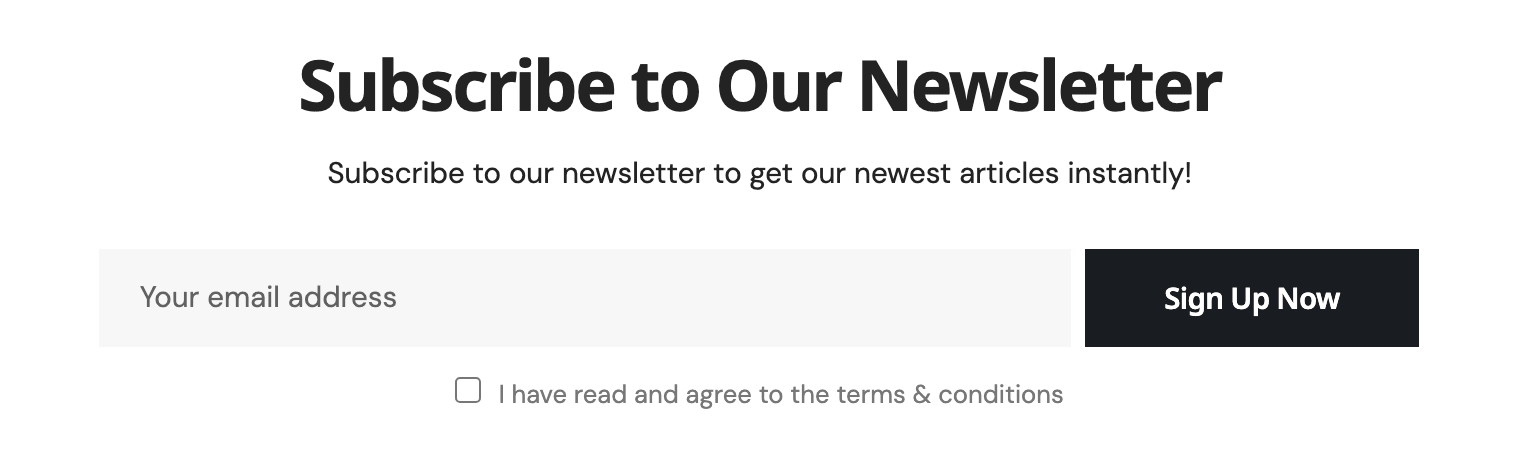 The Foxiz - FW Newsletter widget as a visitor sees it under a post: the heading Subscribe to Our Newsletter, a description line, an email field with a Sign Up Now button and a terms checkbox