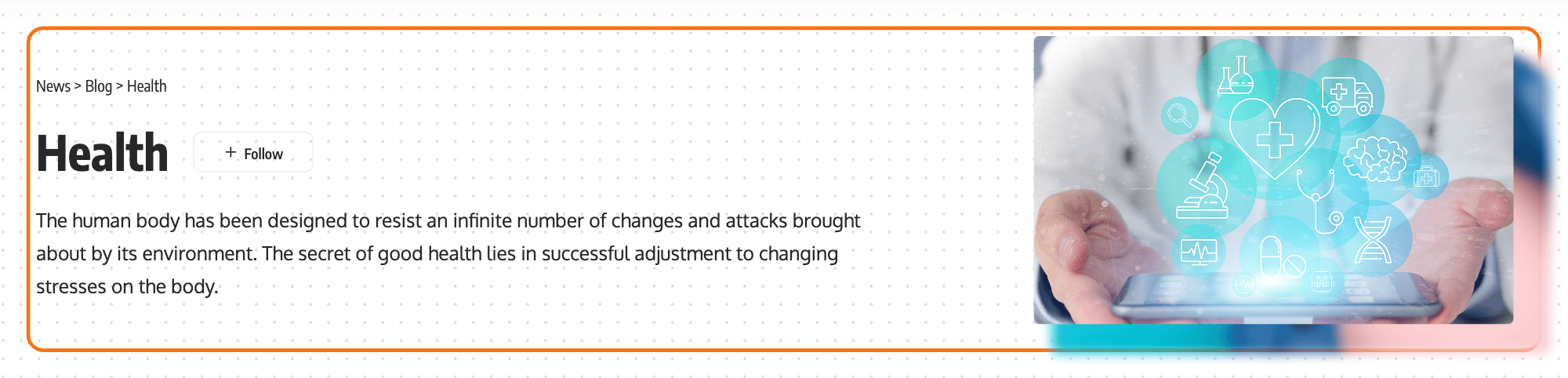 The Health category page on the Default demo: the category header outlined in orange, with the breadcrumb, the name Health and a Follow button, the category description, and the category's featured image on the right, over a dotted pattern