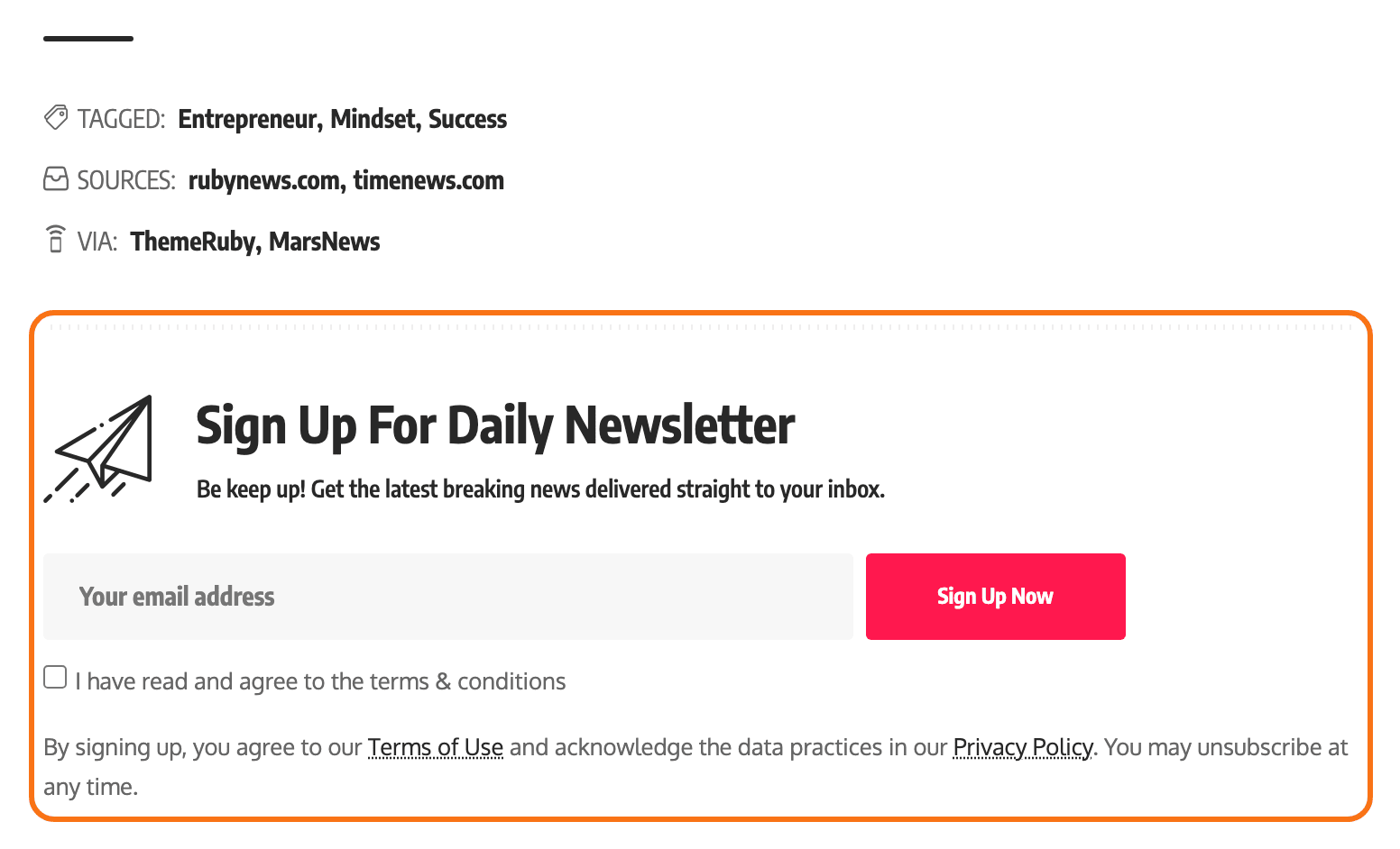 The Bottom Newsletter box at the end of a post on the Default demo, outlined in orange: Sign Up For Daily Newsletter, its description, the email field with its button and the policy text