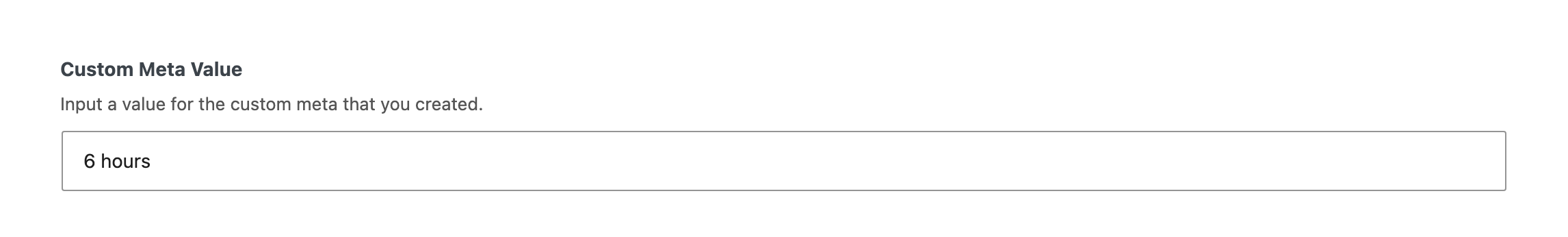 The Custom Meta tab of Single Post Settings, with Custom Meta Value set to 6 hours.