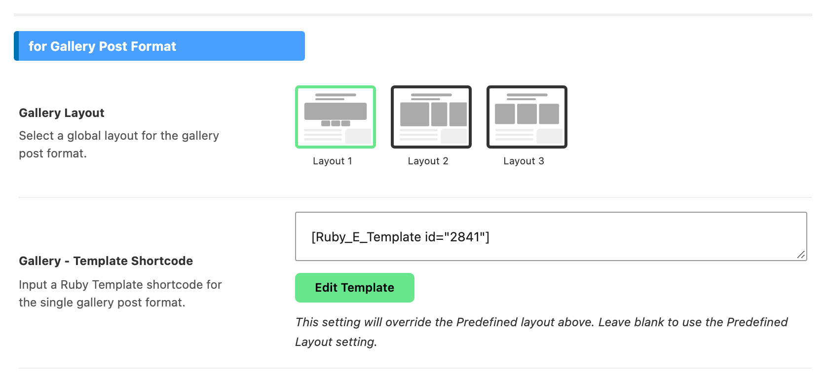 The for Gallery Post Format group, with Gallery - Template Shortcode below the Gallery Layout picker