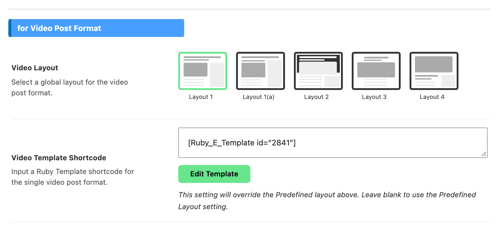 The for Video Post Format group, with Video Template Shortcode below the Video Layout picker