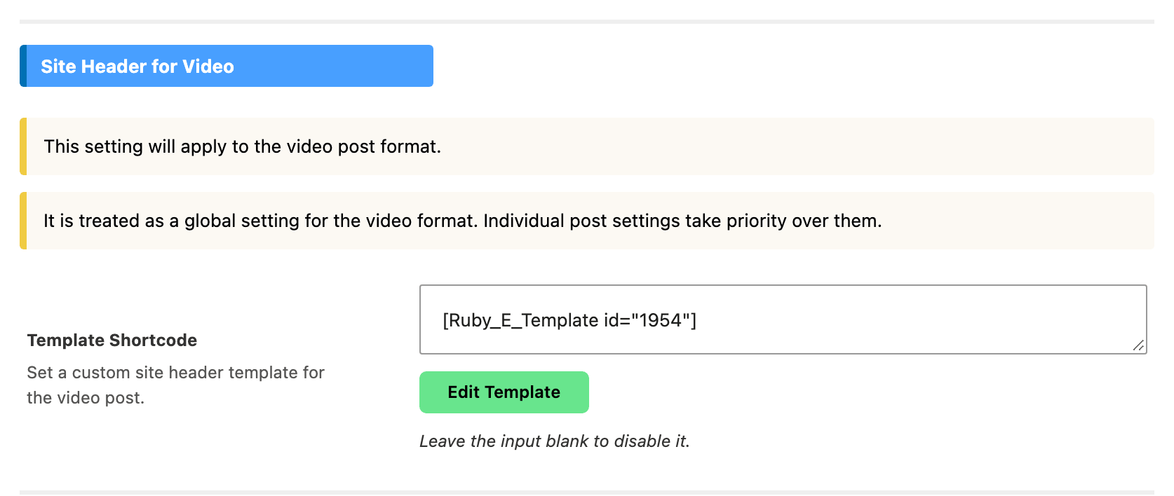 The Site Header for Video group and its own Template Shortcode field