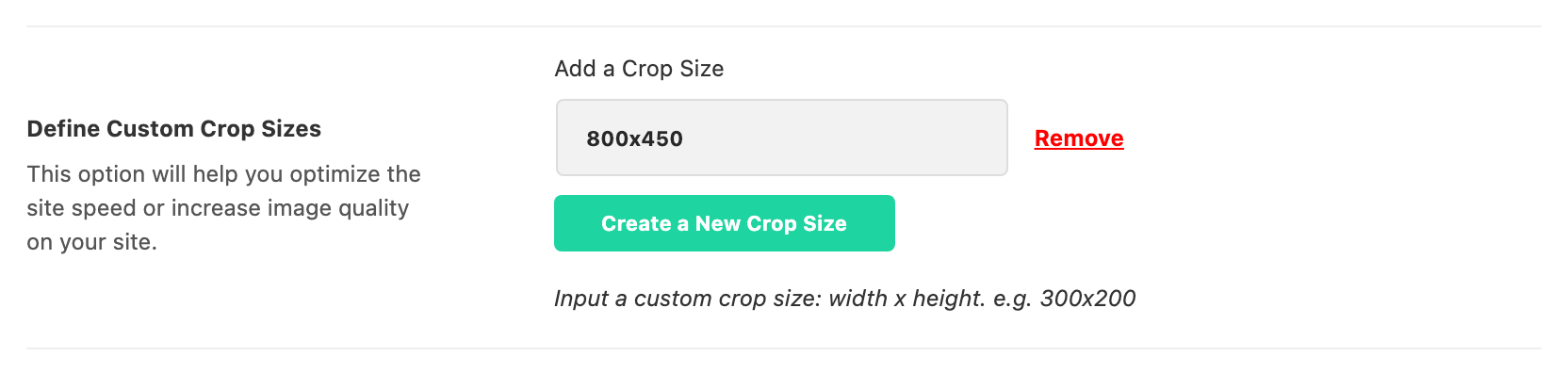 The Define Custom Crop Sizes field in Theme Options > Theme Design > Featured Image, with 800x450 entered and the Create a New Crop Size button below it