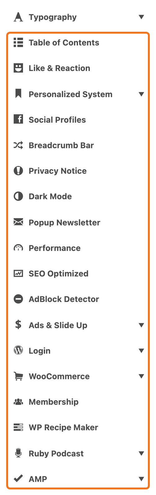 The Theme Options section list from Typography down to AMP, with the feature tabs from Table of Contents to AMP outlined in orange