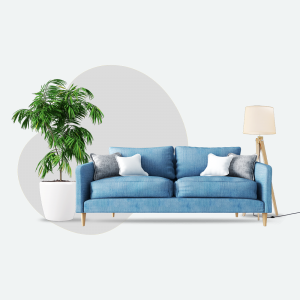 Living Room Sofa Ideas